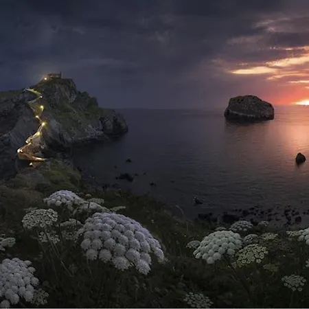 Bermeokosustraiak-60 M2 Wifi Gratis *