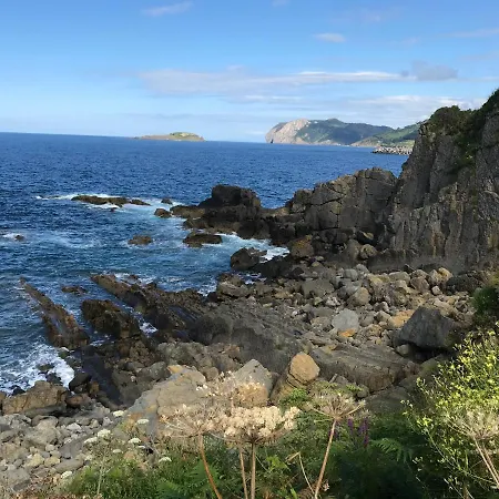 Bermeokosustraiak-60 M2 Wifi Gratis