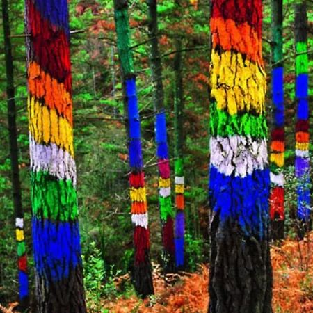 Bermeokosustraiak-60 M2 Wifi Gratis Bermeo