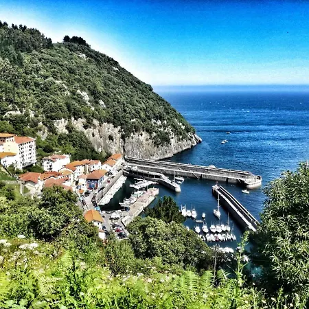 Bermeokosustraiak-60 M2 Wifi Gratis *