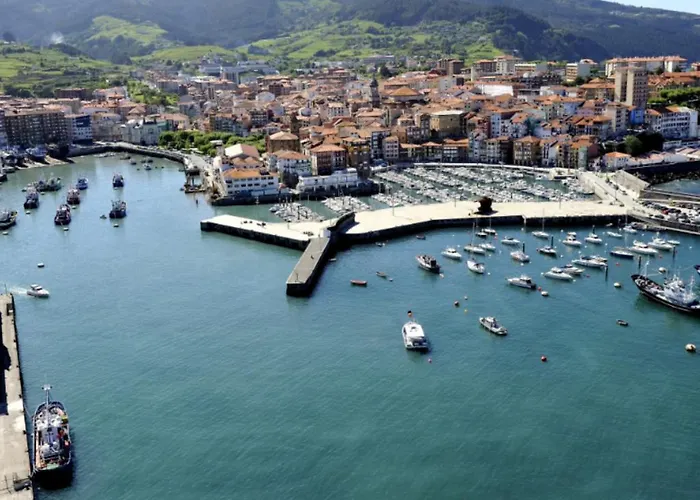 Bermeokosustraiak-60 M2 Wifi Gratis