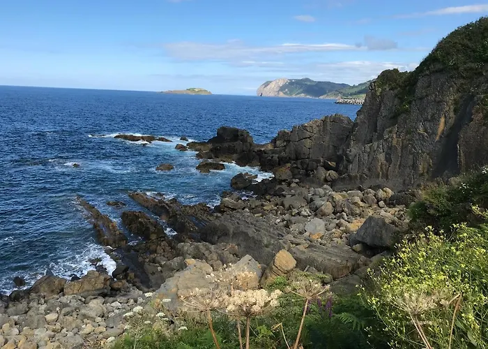 Bermeokosustraiak-60 M2 Wifi Gratis