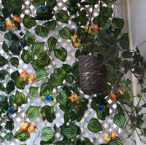 Bermeokosustraiak-60 M2 Wifi Gratis Apartment *