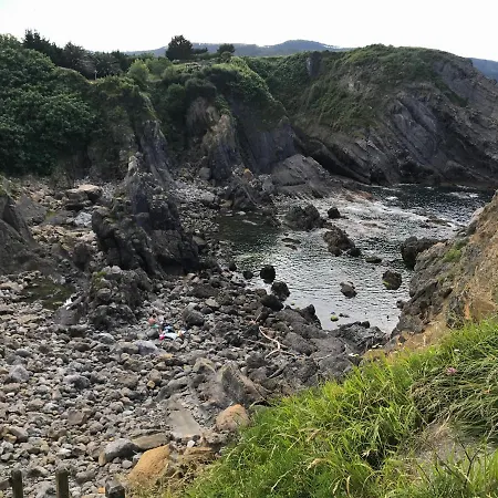 Bermeokosustraiak-60 M2 Wifi Gratis *