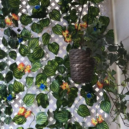 Bermeokosustraiak-60 M2 Wifi Gratis Apartamento *